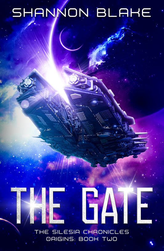 The Gate Paperback
